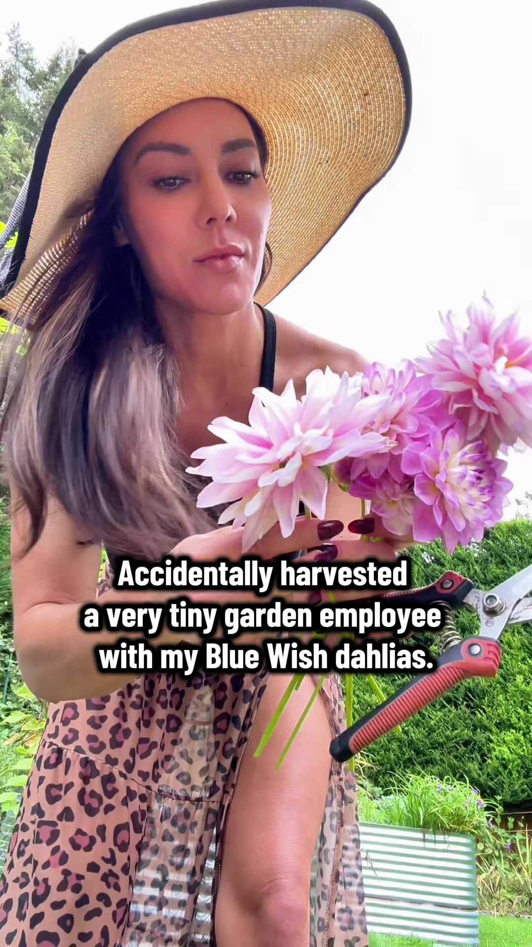 @Ava Dahlia 🇨🇦👩&zwj;🌾✌️