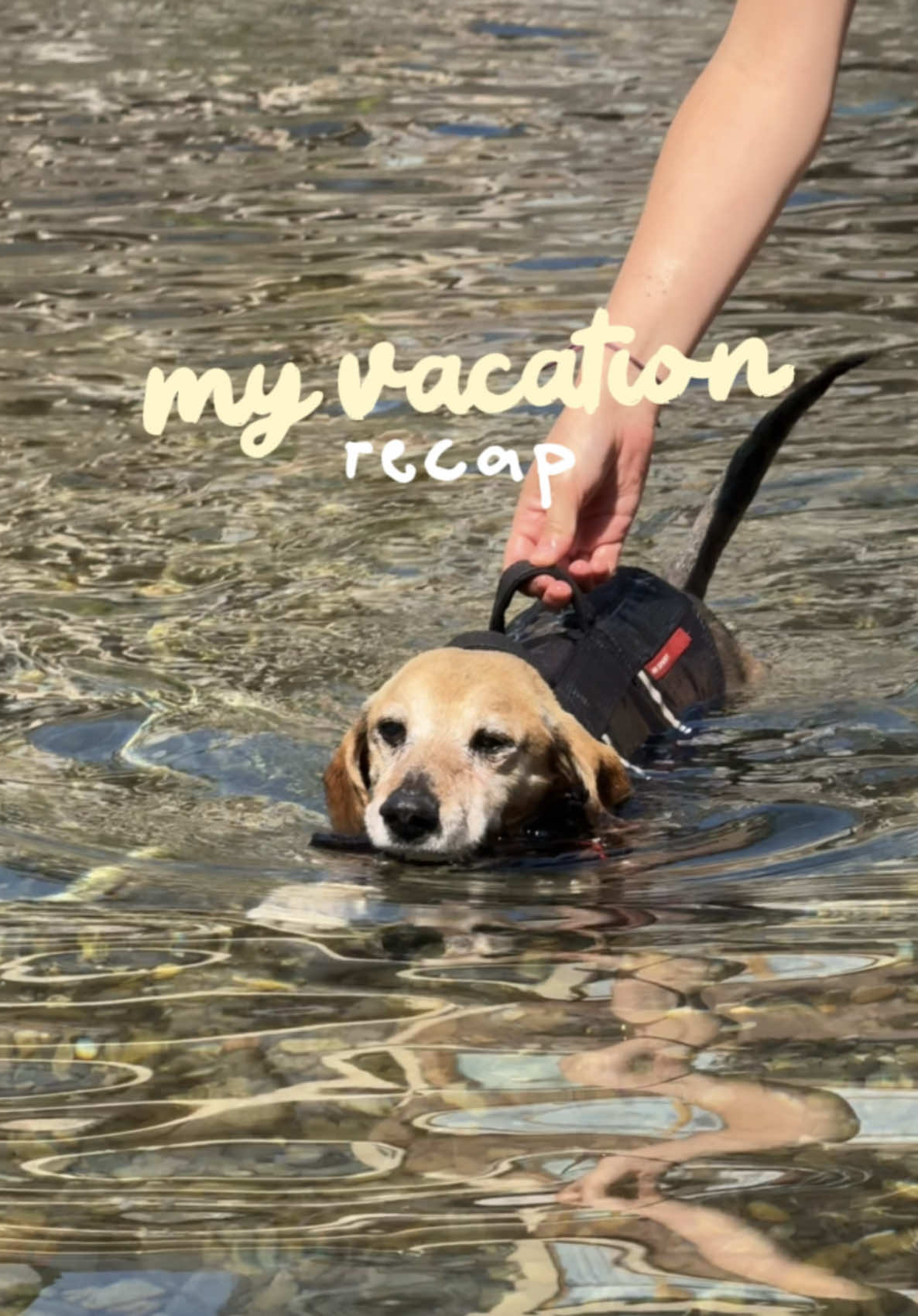 @Lucas The Dog