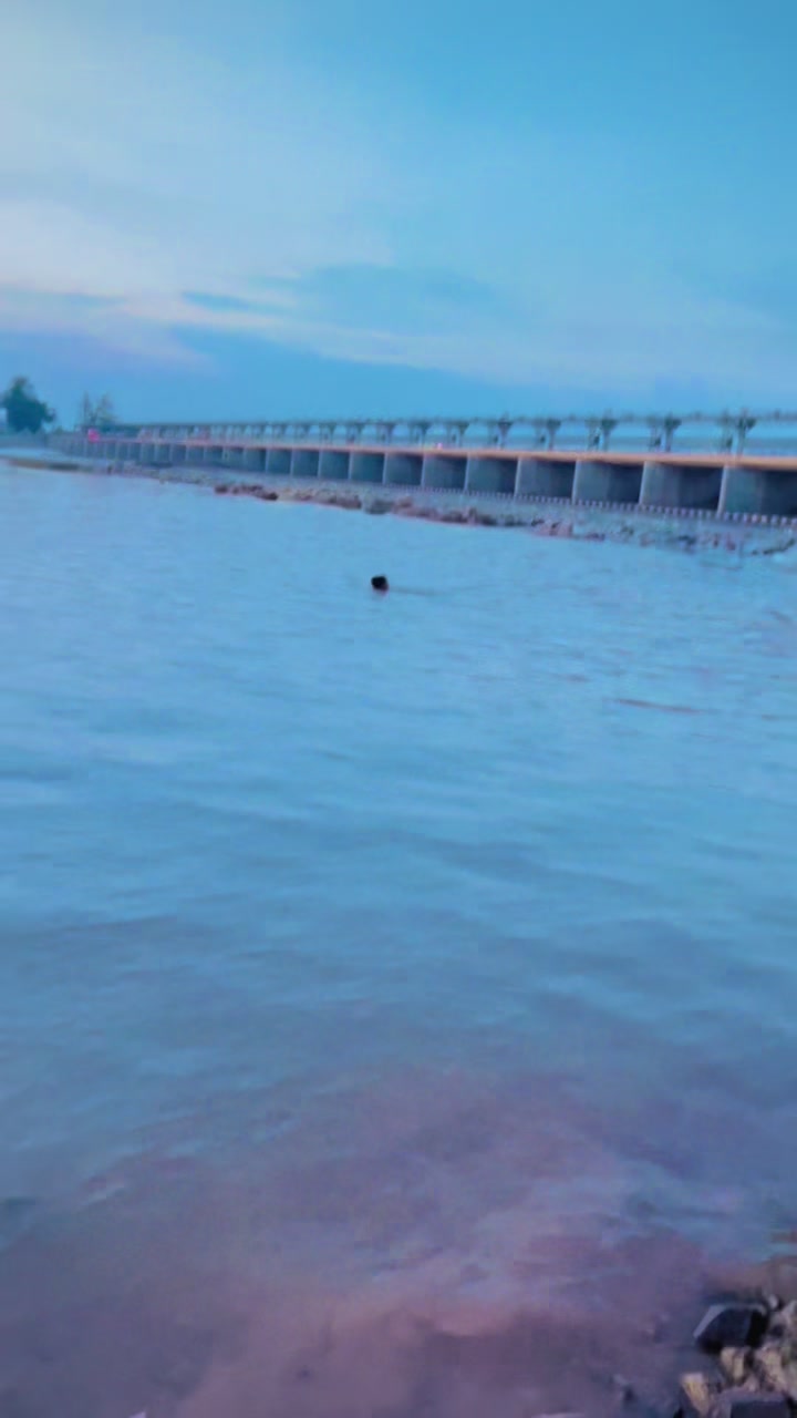 @رائے نومی کھرل