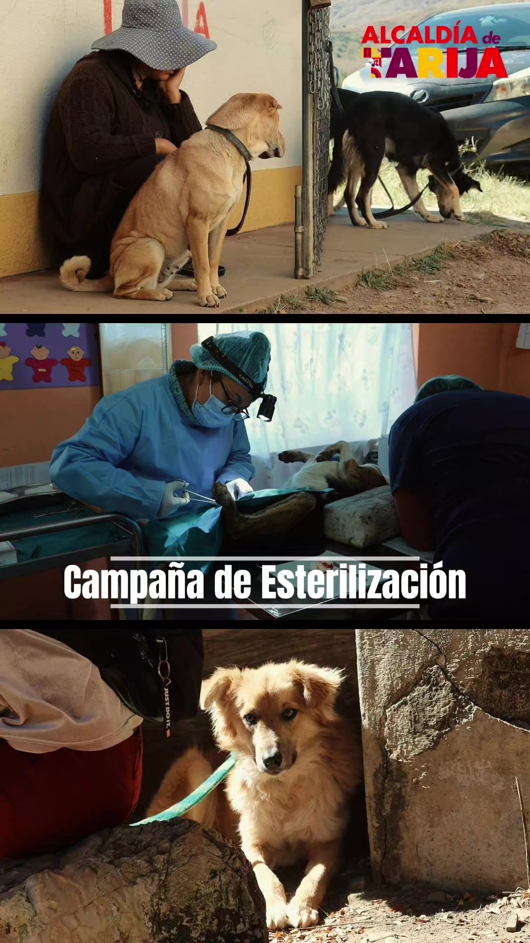 @Sec.HumanoySalud.GAMT