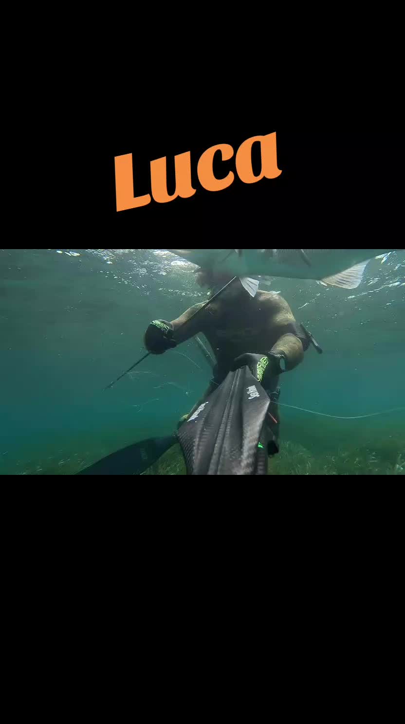 @seahawksub