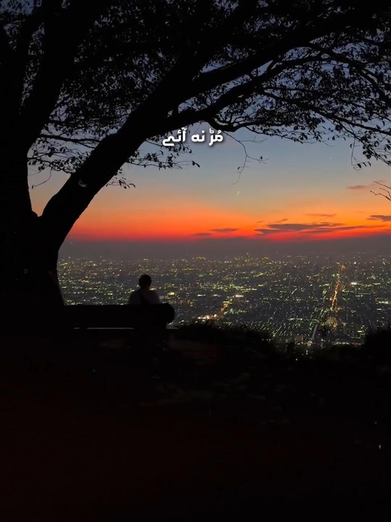 @𝗜𝗱𝗲𝗮𝗹 𝗔𝗱𝘀 𝟮.𝟬