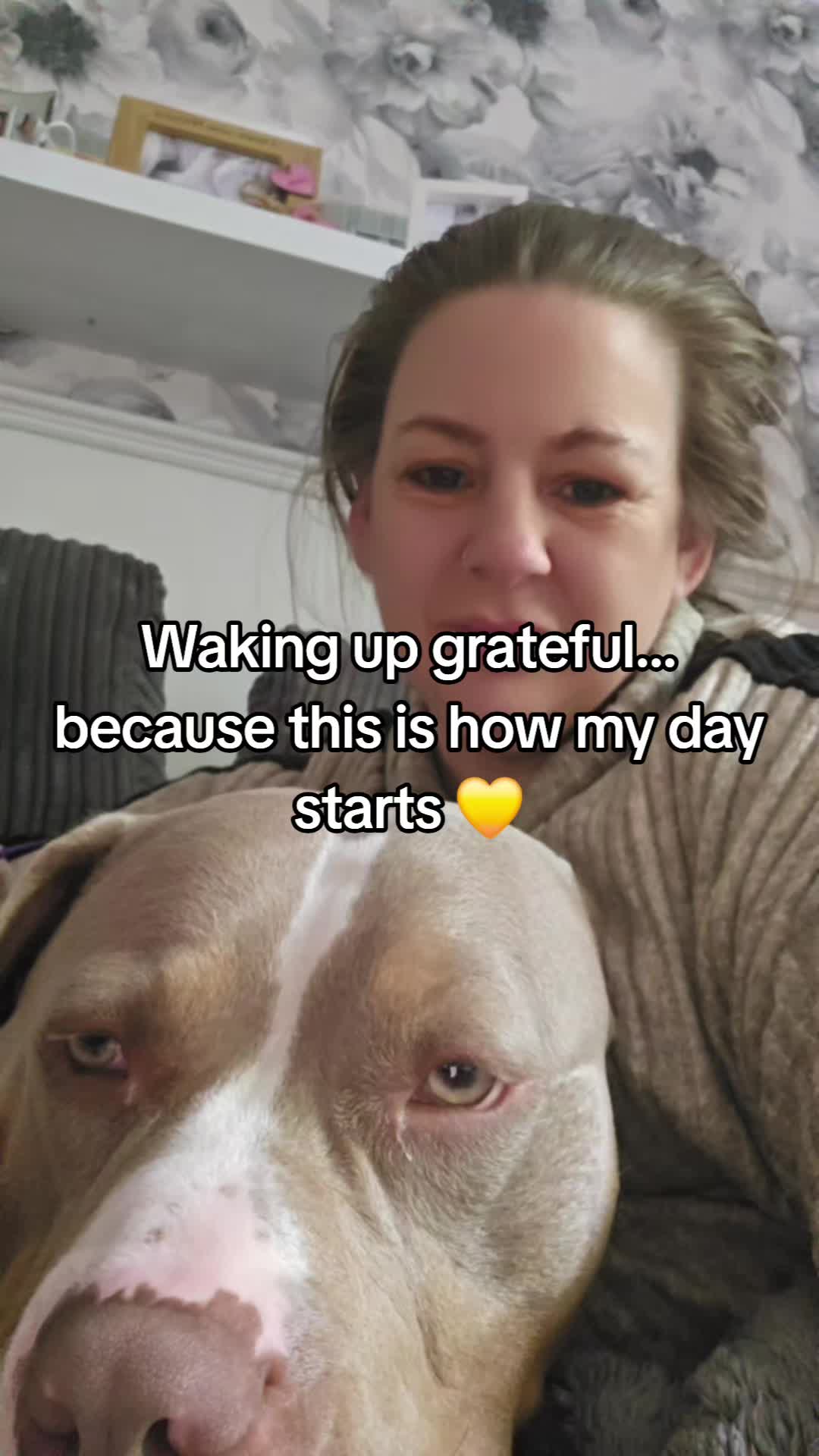 @mybullysandme🐶🇬🇧 (kelly)