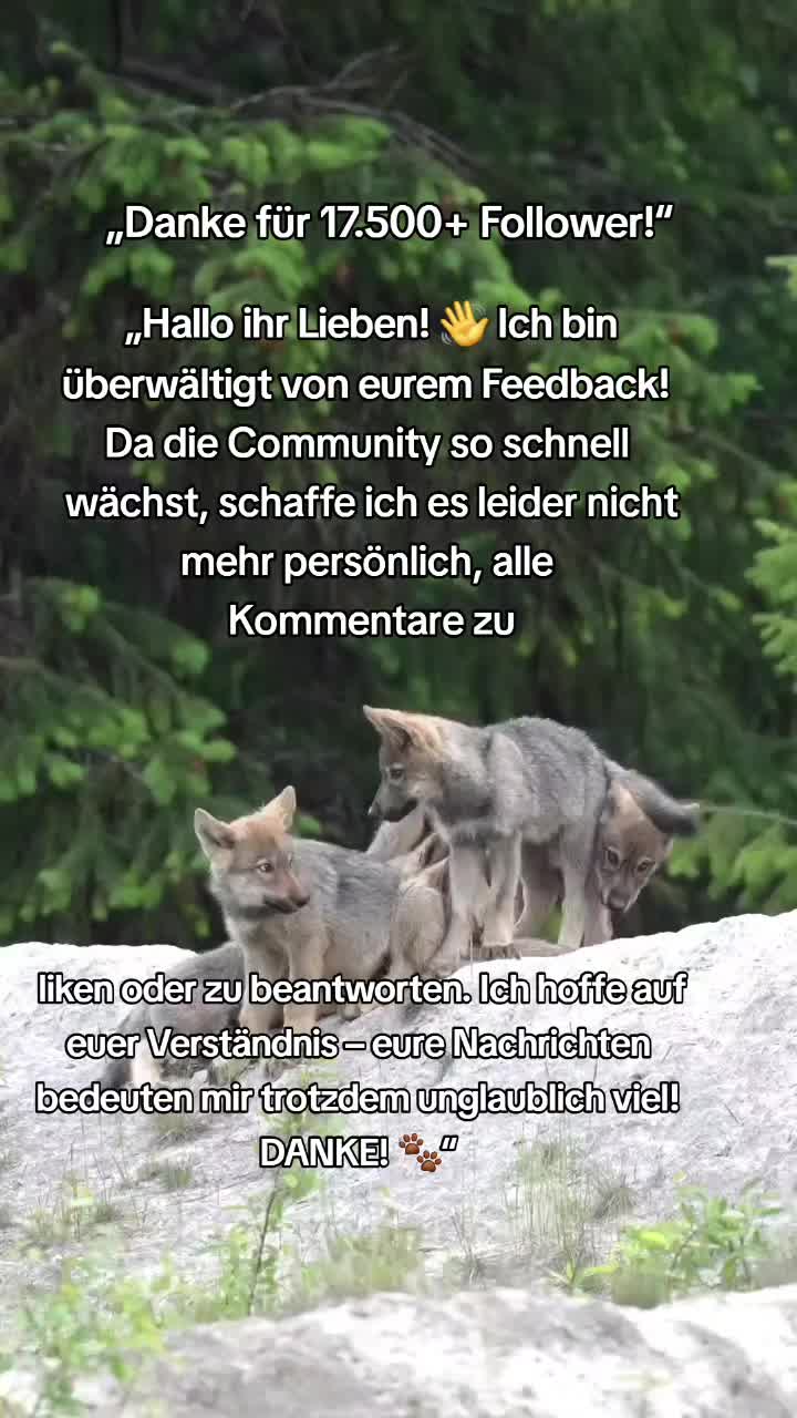 @schützt-den-wolf 🇦🇹