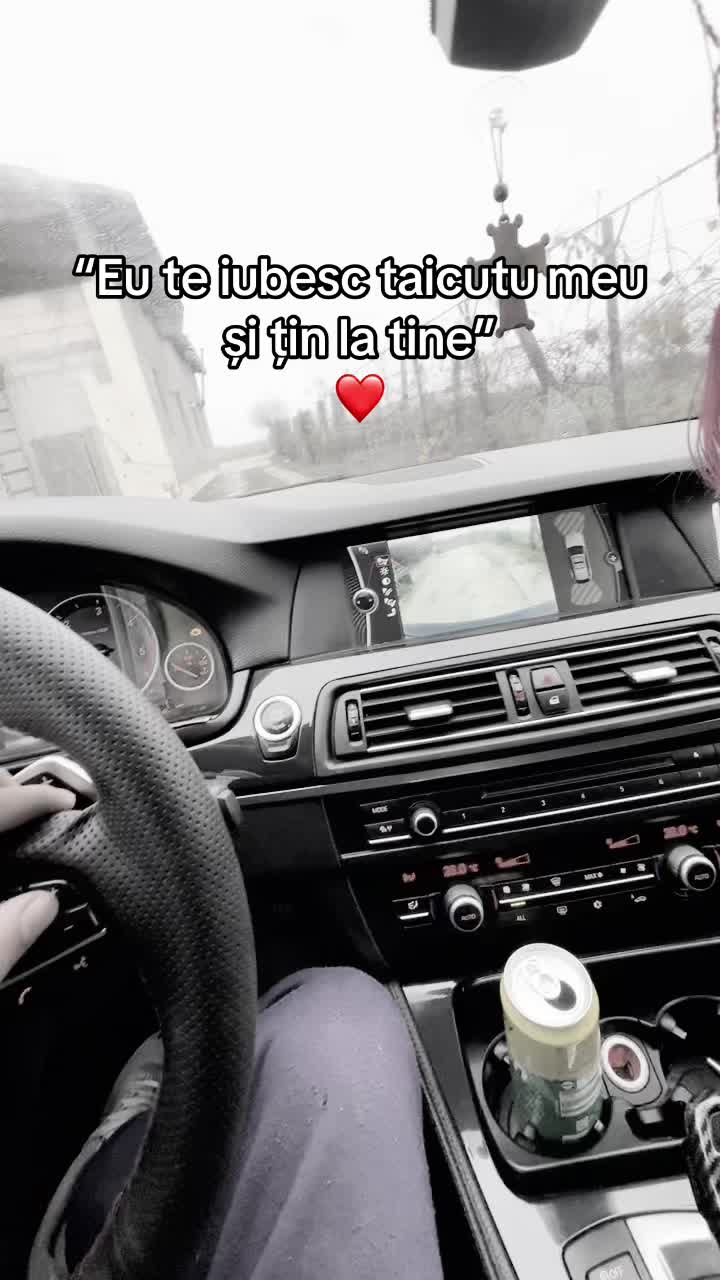 @rechinul520