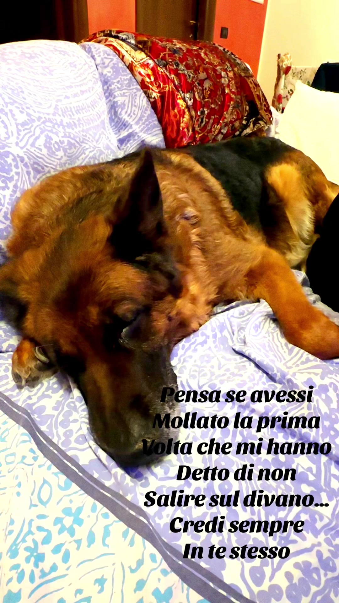 @alessiacolombara2