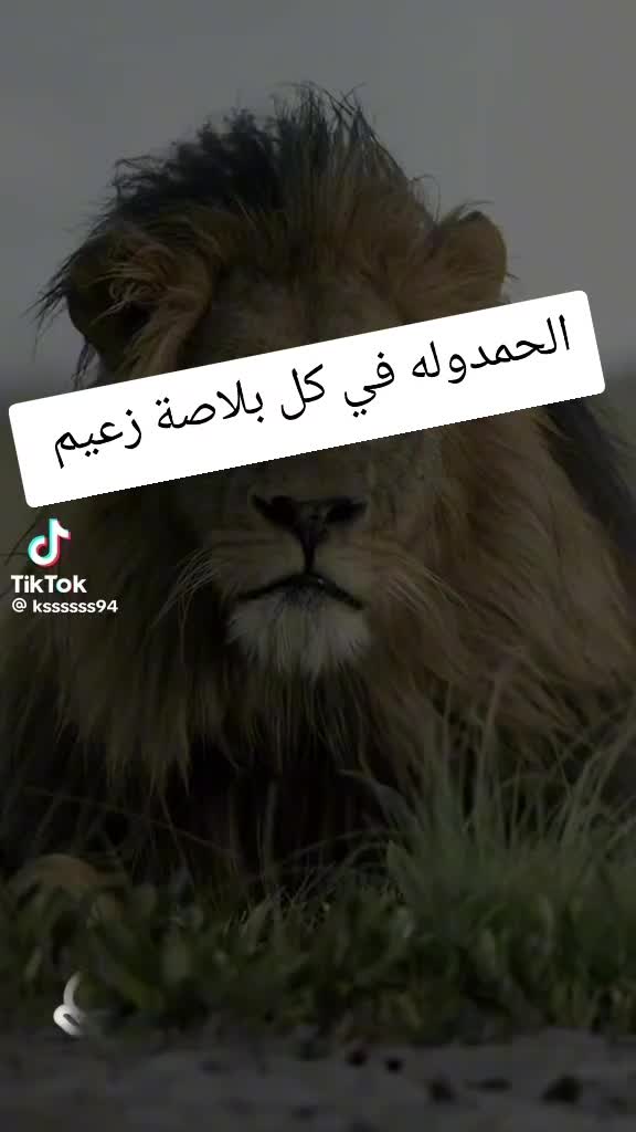 @تصفية حسابات