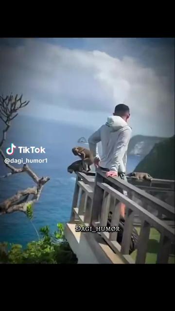 @Berket Bamlaku
