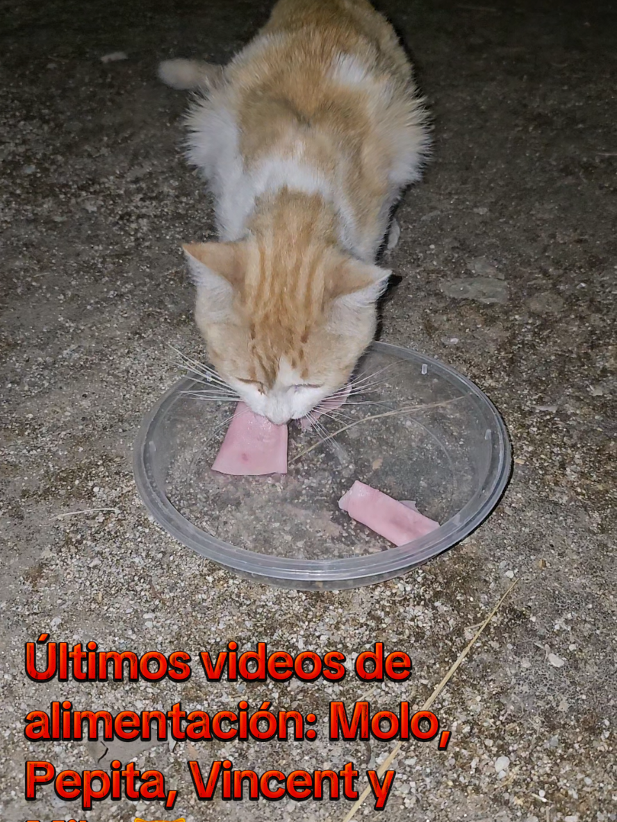 @garritasespaciales