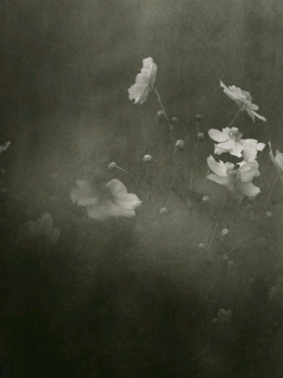 @𝄞𓊆  ᶢ𝖑ₒᵂⁱₙᶢ.ᐟ ྀི 🪽𓊇﴾⦵﴿ 𓉸