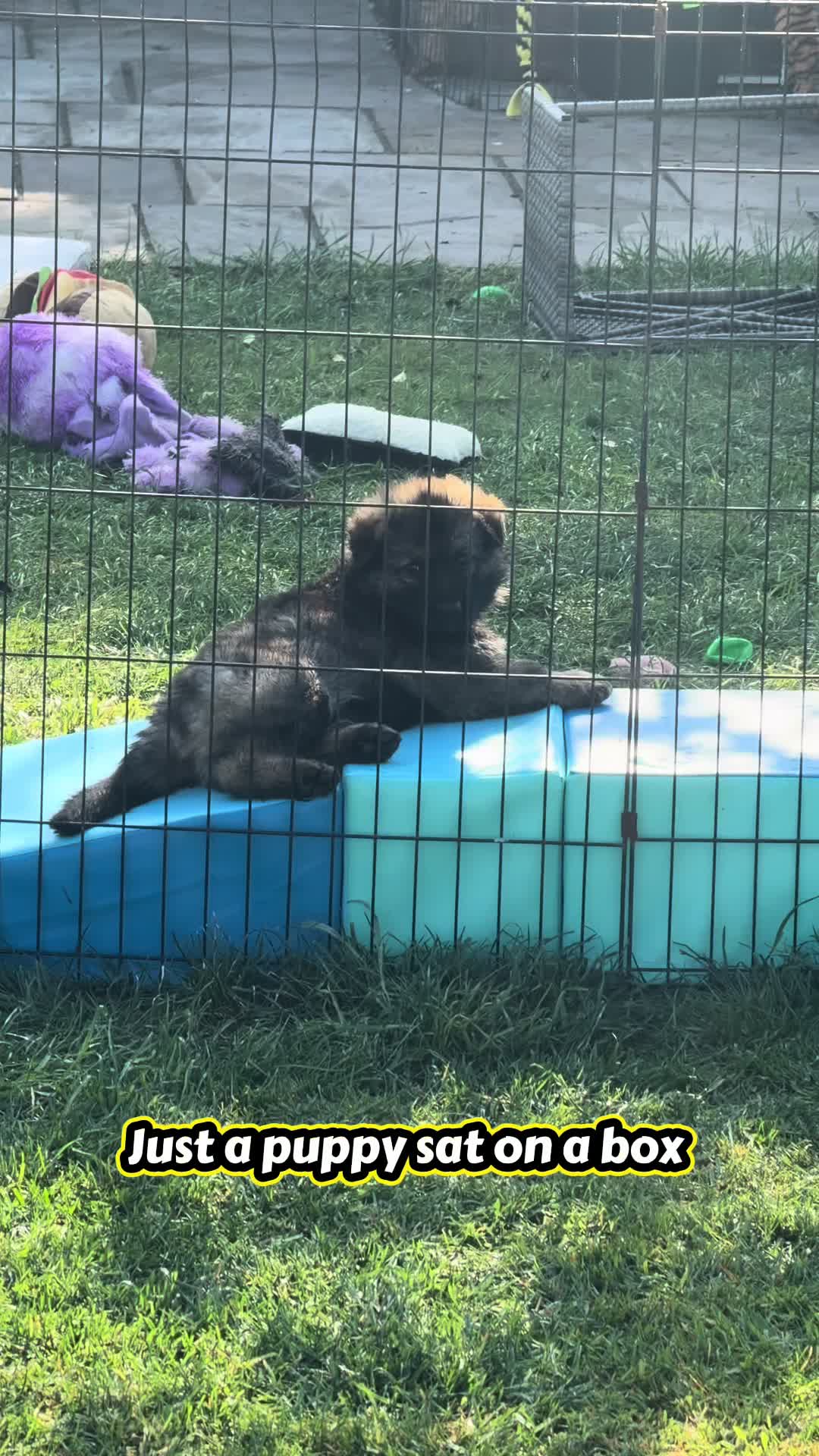 @TheGSDhubwithjennygould