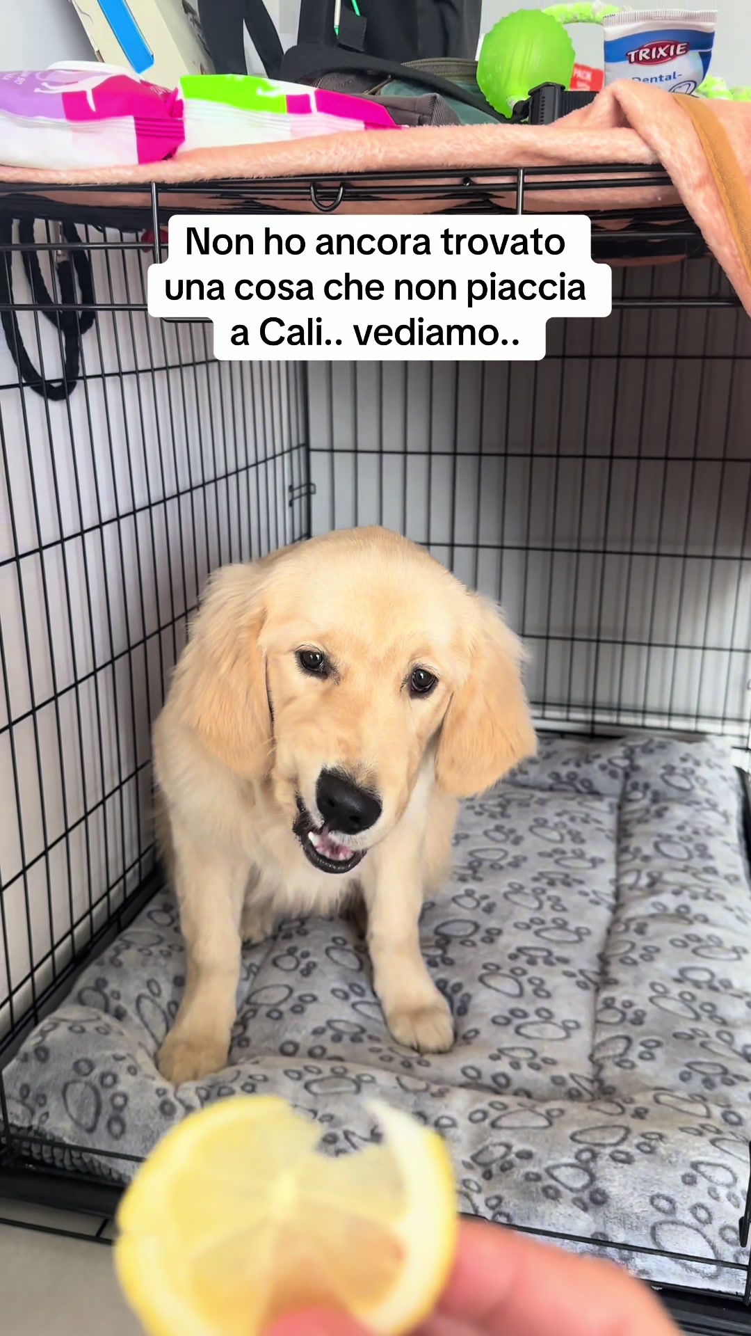 @Raffa&Cali