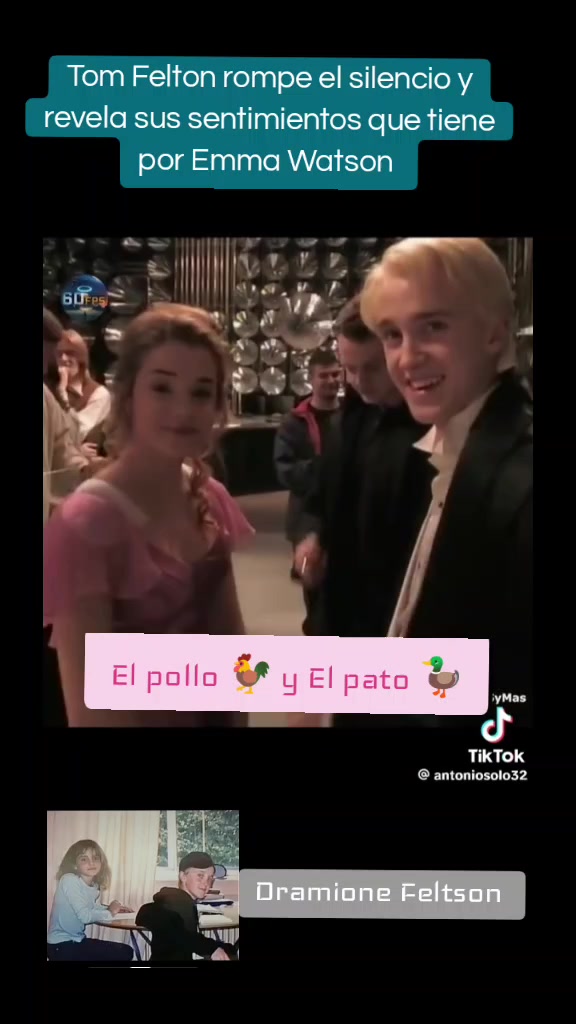@Camhi