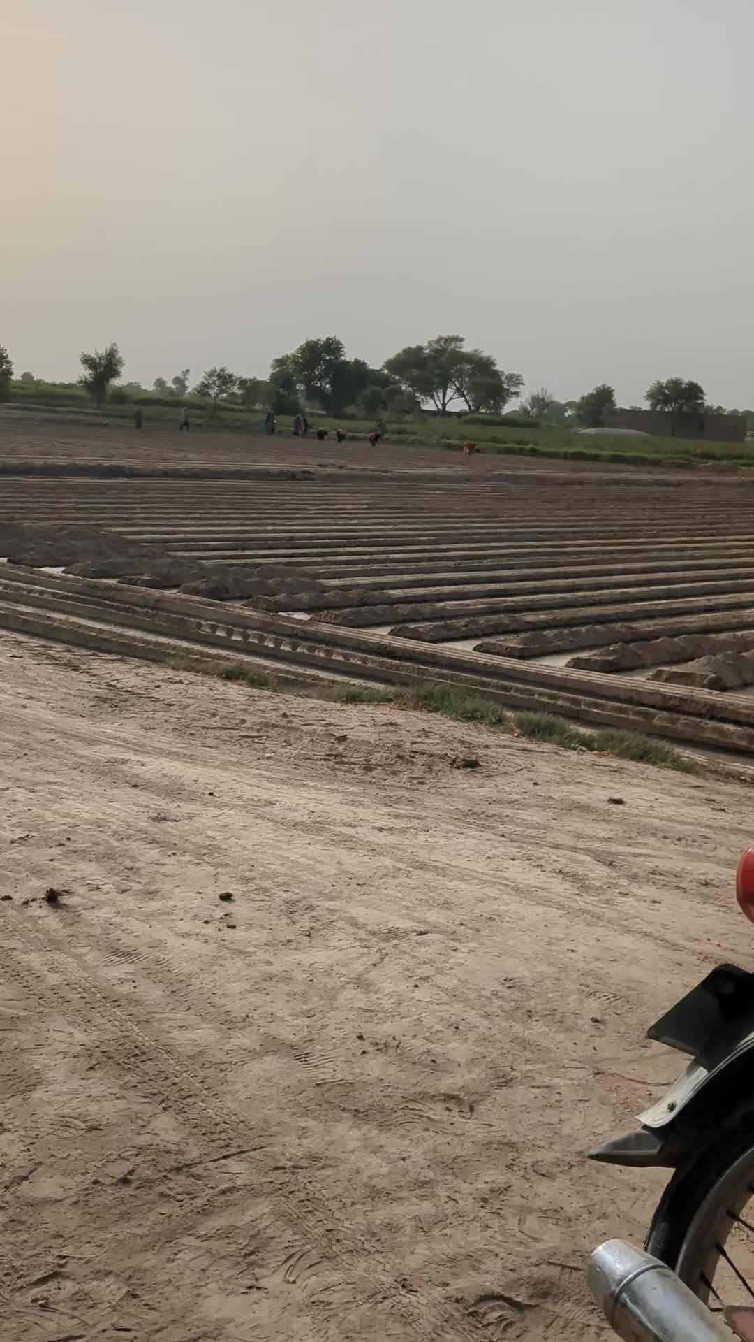 @Baba cement wala