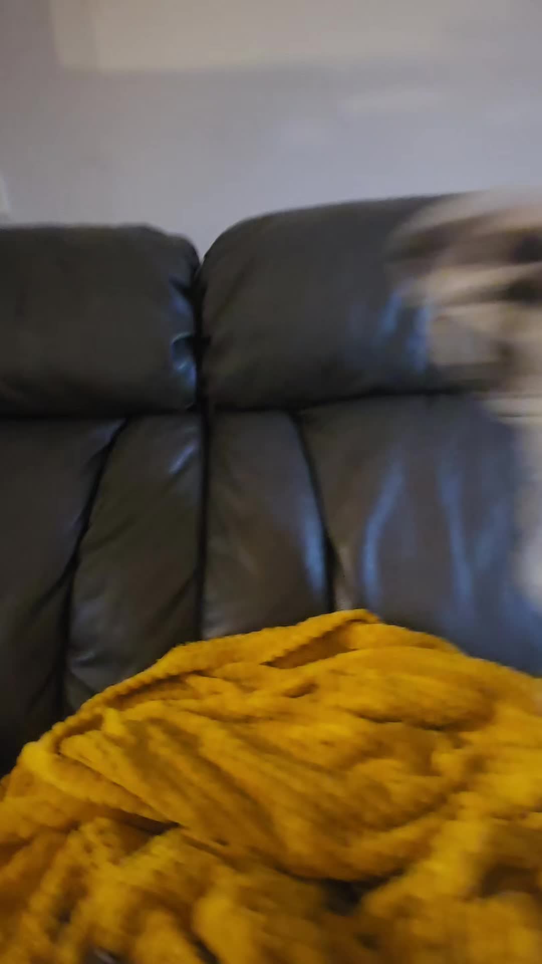 @Cail.Snail08