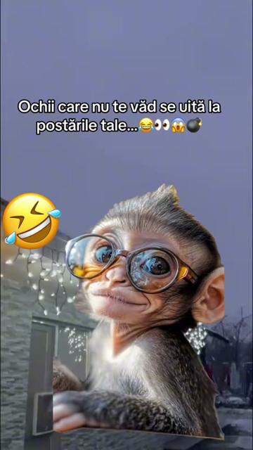 @Corina Fieraru