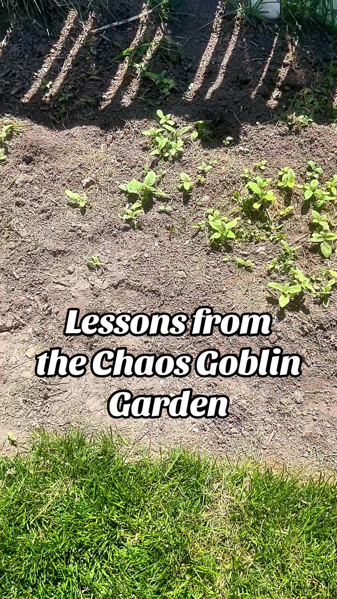 @chaosgoblingarden