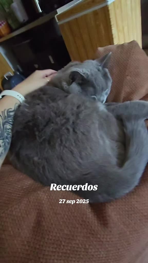 @Milokito💞miki