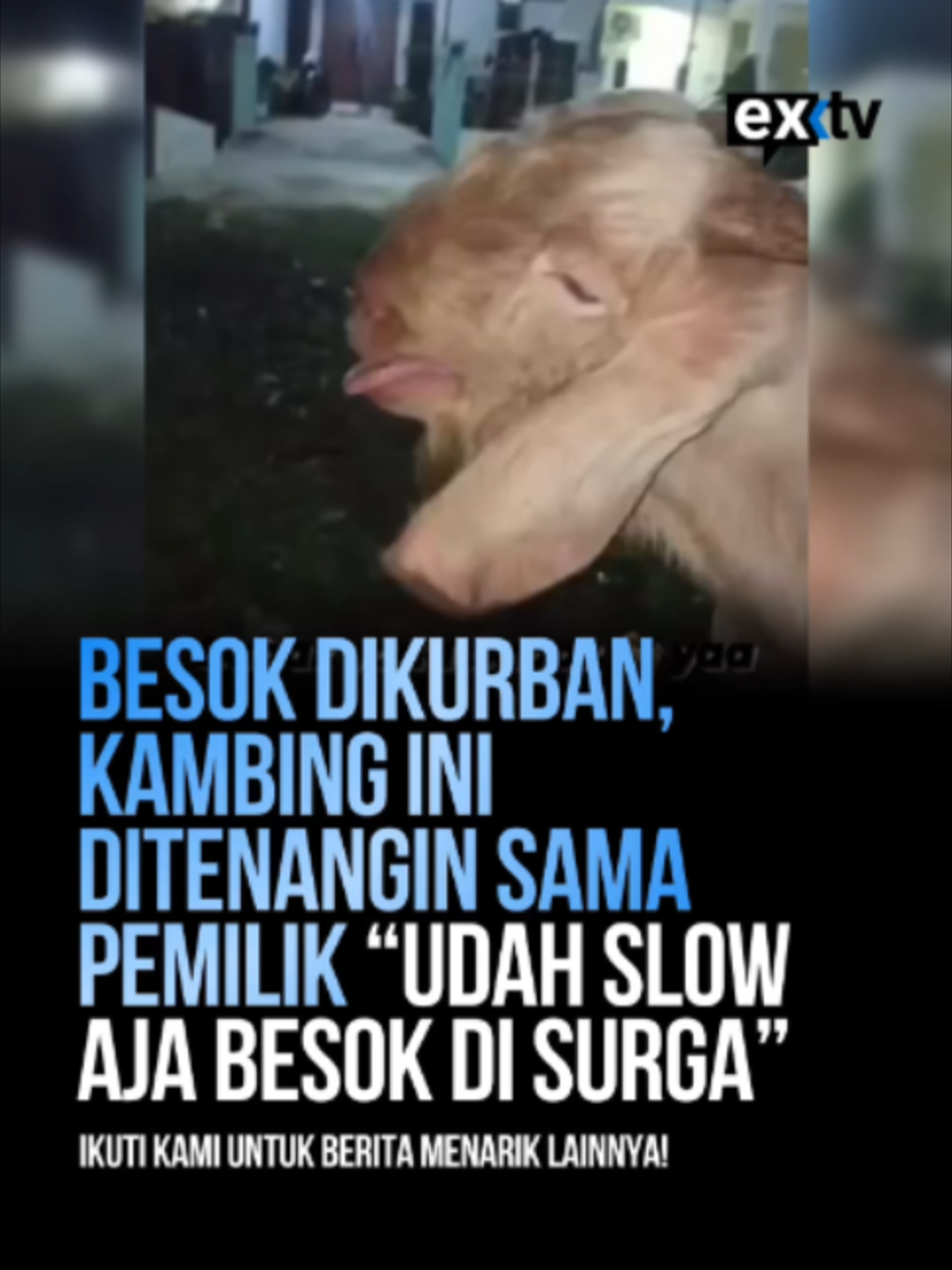 @Expressi Media
