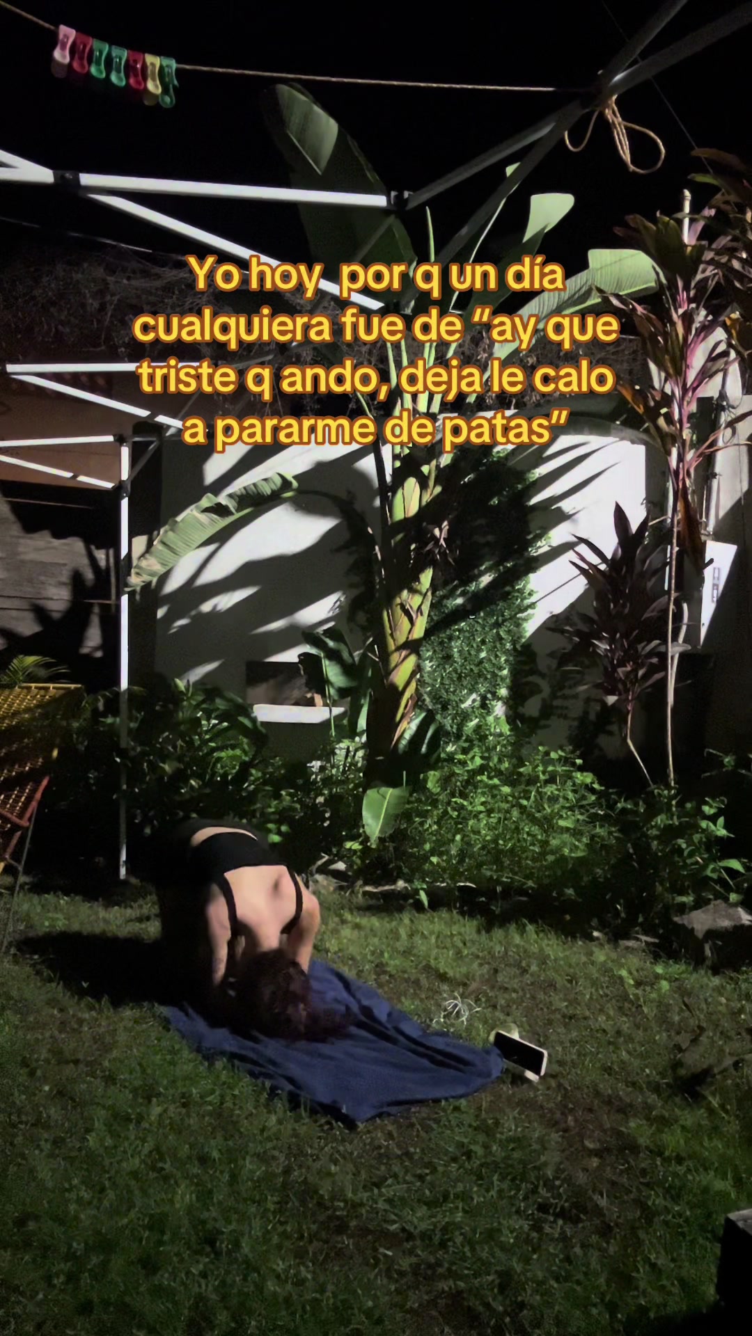@ladyru__