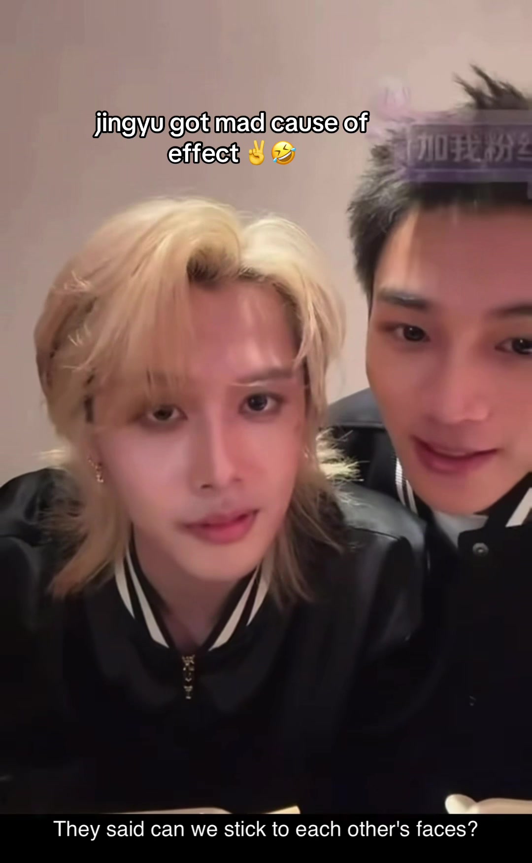 @Xizhao-Yuyi-🐻🐶🐳