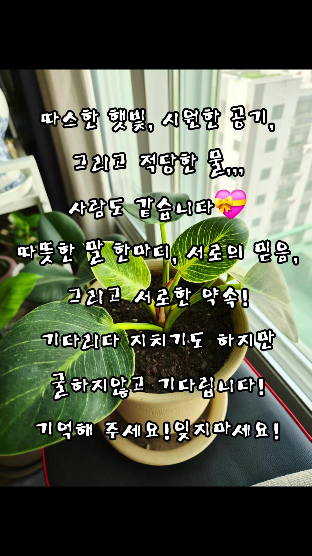 @๐ฉโจ๏ธ๐ฅ์ธ์์ค๋
๐ฅโจ๏ธ๐ช