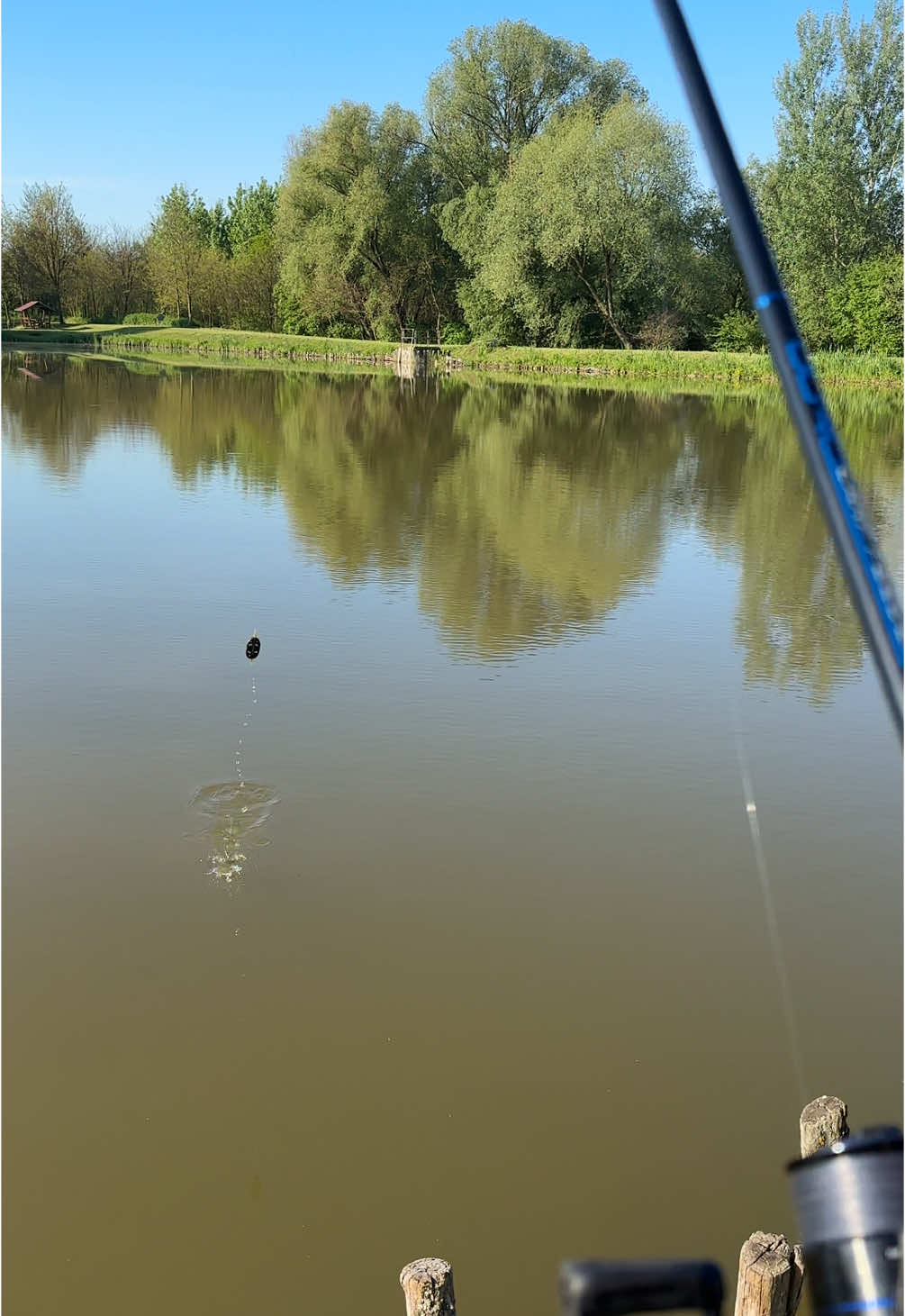 @🇭🇺CarpHunter🎣Dénes🇭🇺