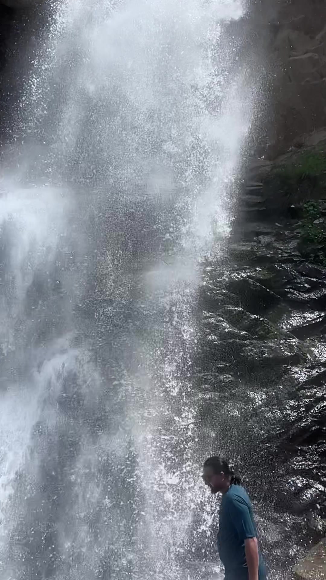 @Bajjarwala804