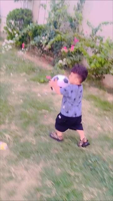 @Sir Shehzad Qureshi