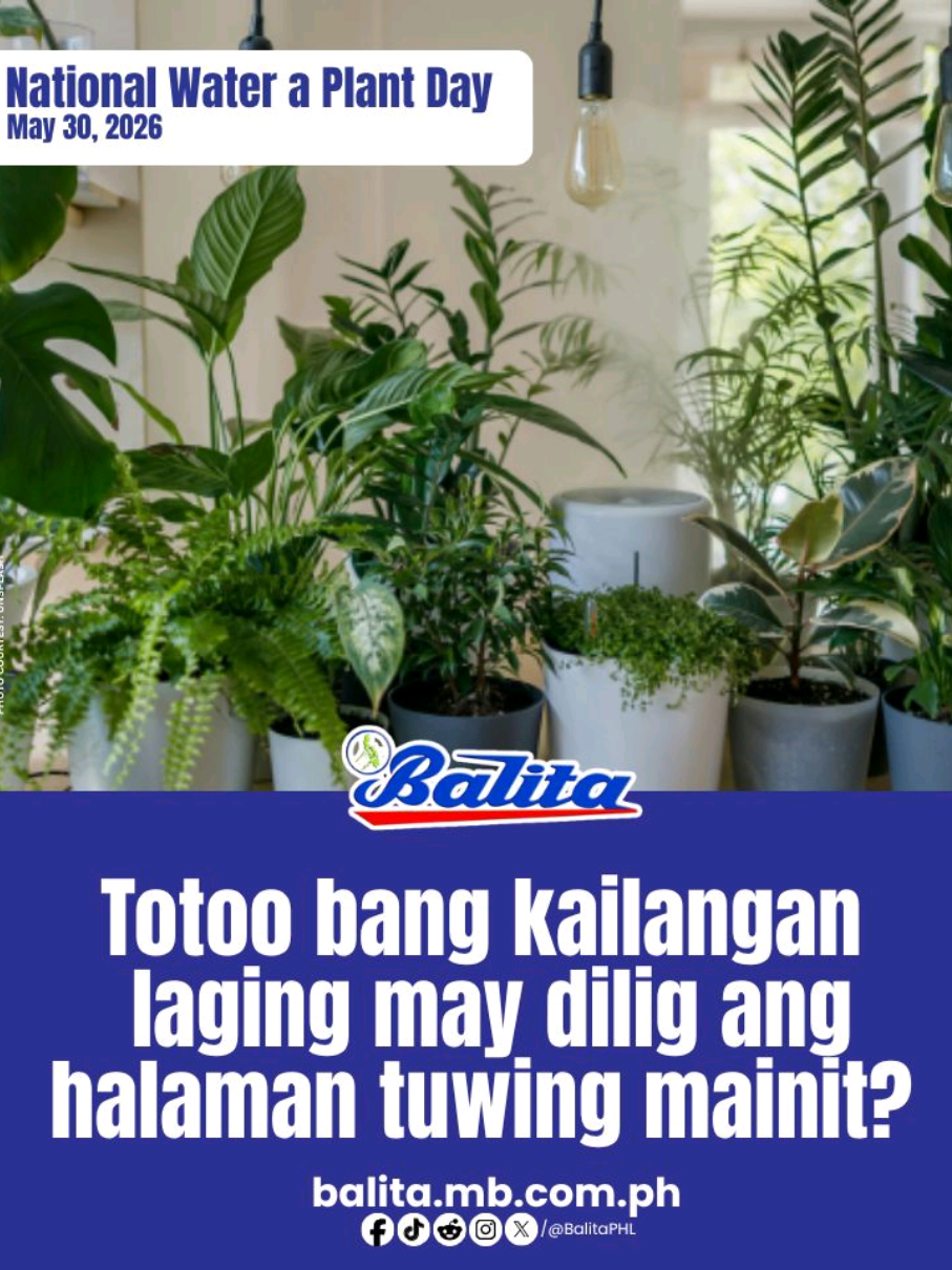 @Balita