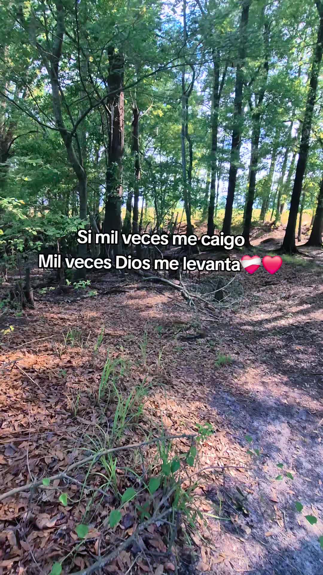 @alyssavasquez9733