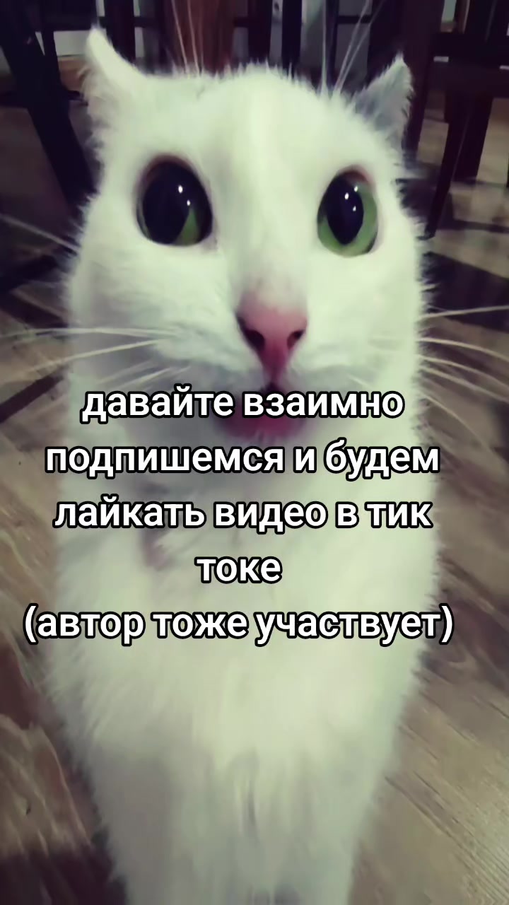 @❤️🍷Svetohka❤️🍷