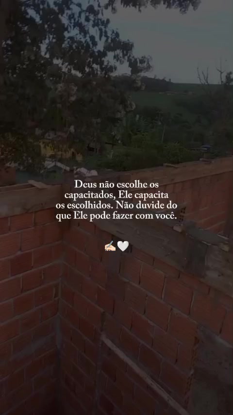 @Pamela Alves