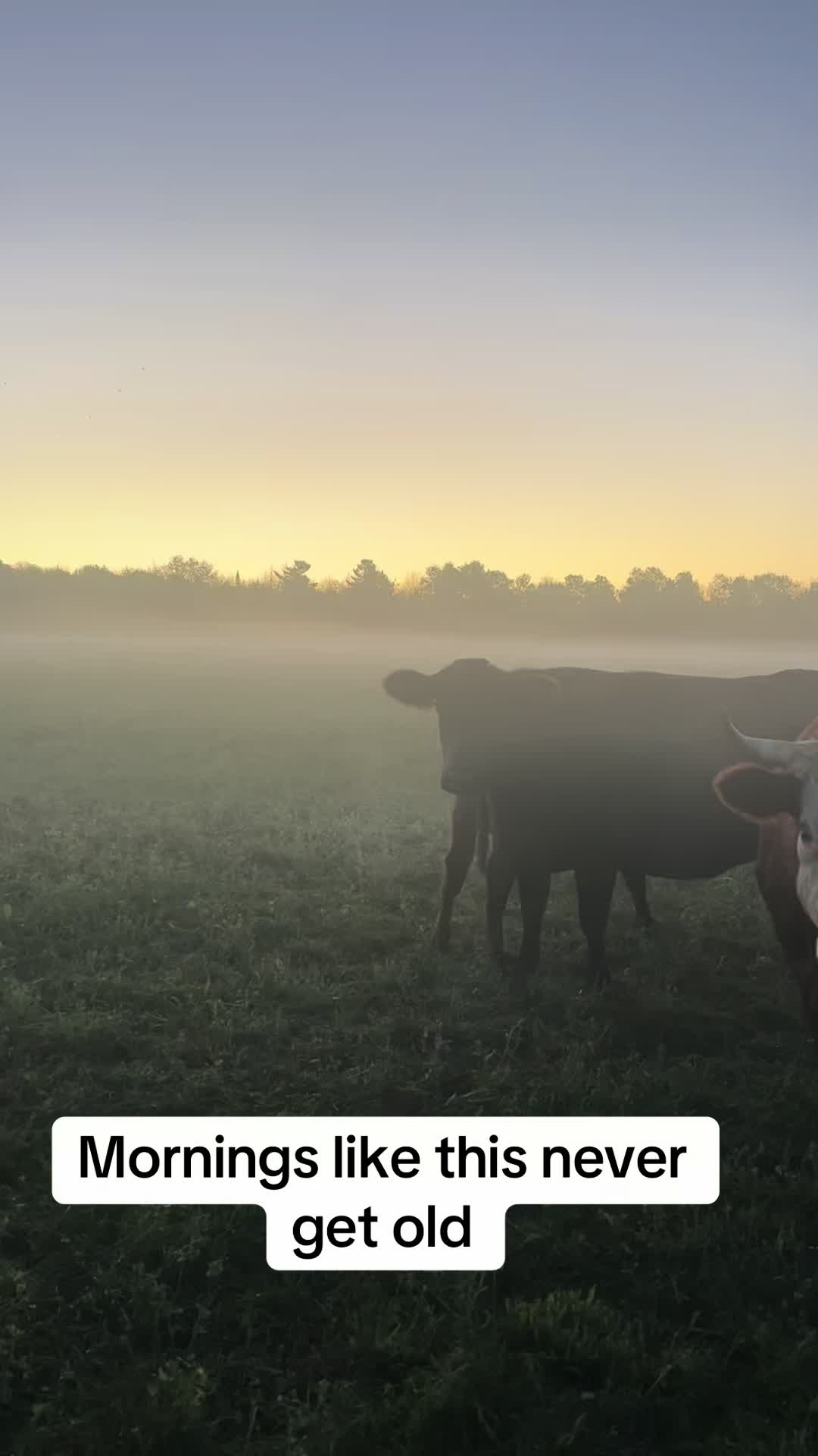 @littlesandycreekfarm