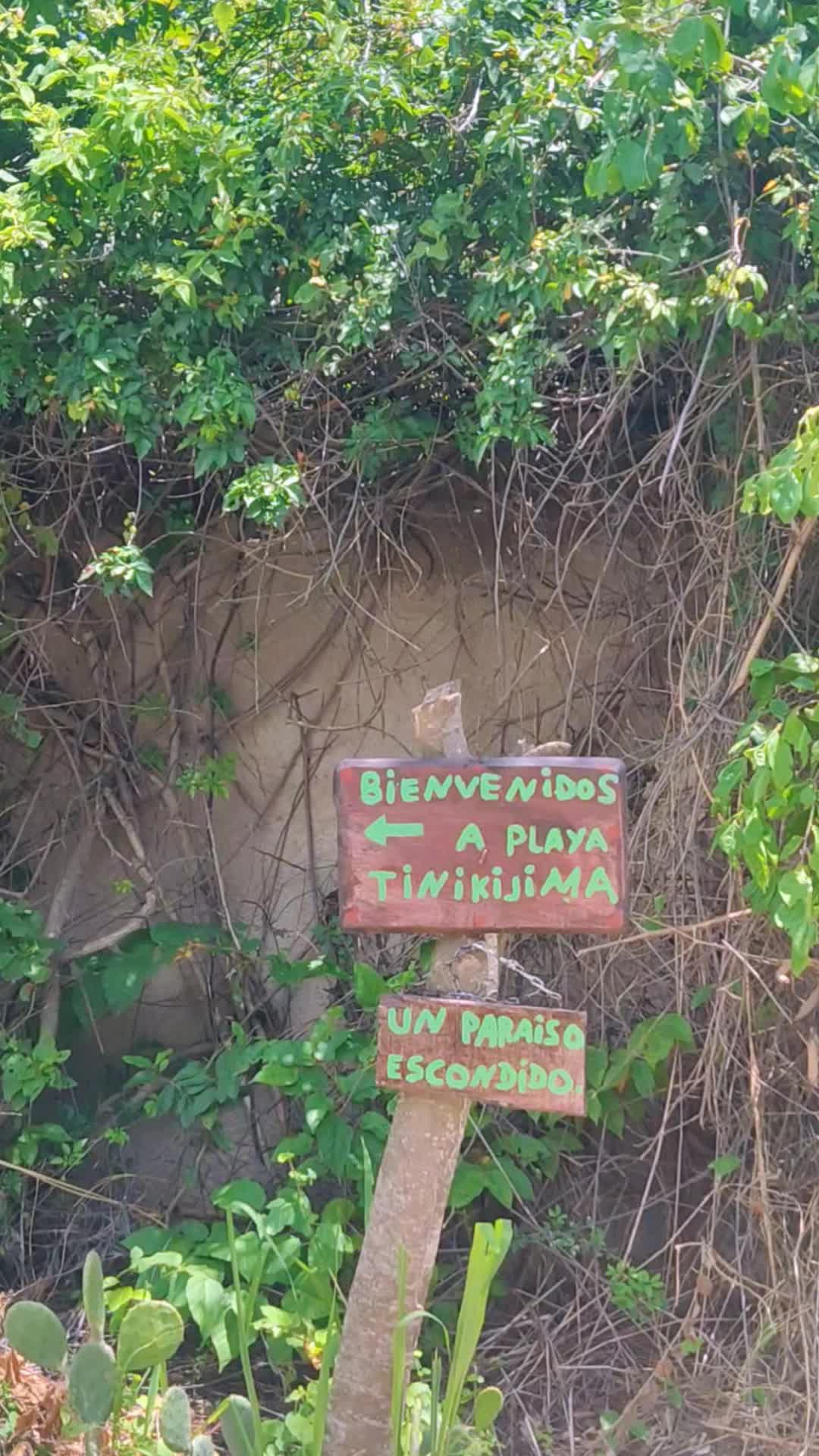 @choroni para ti