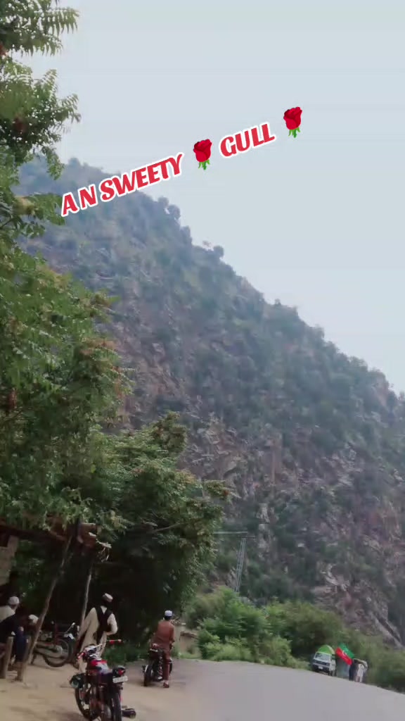 @A❤️N SWEETY 💕 GULL