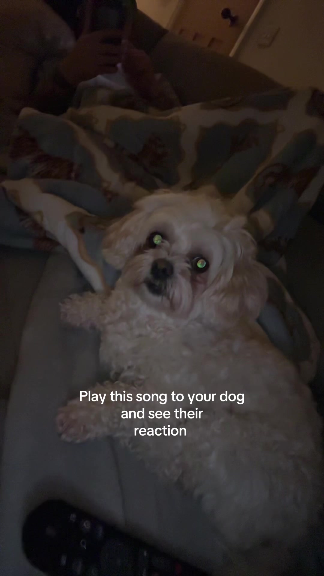 @Sarah
