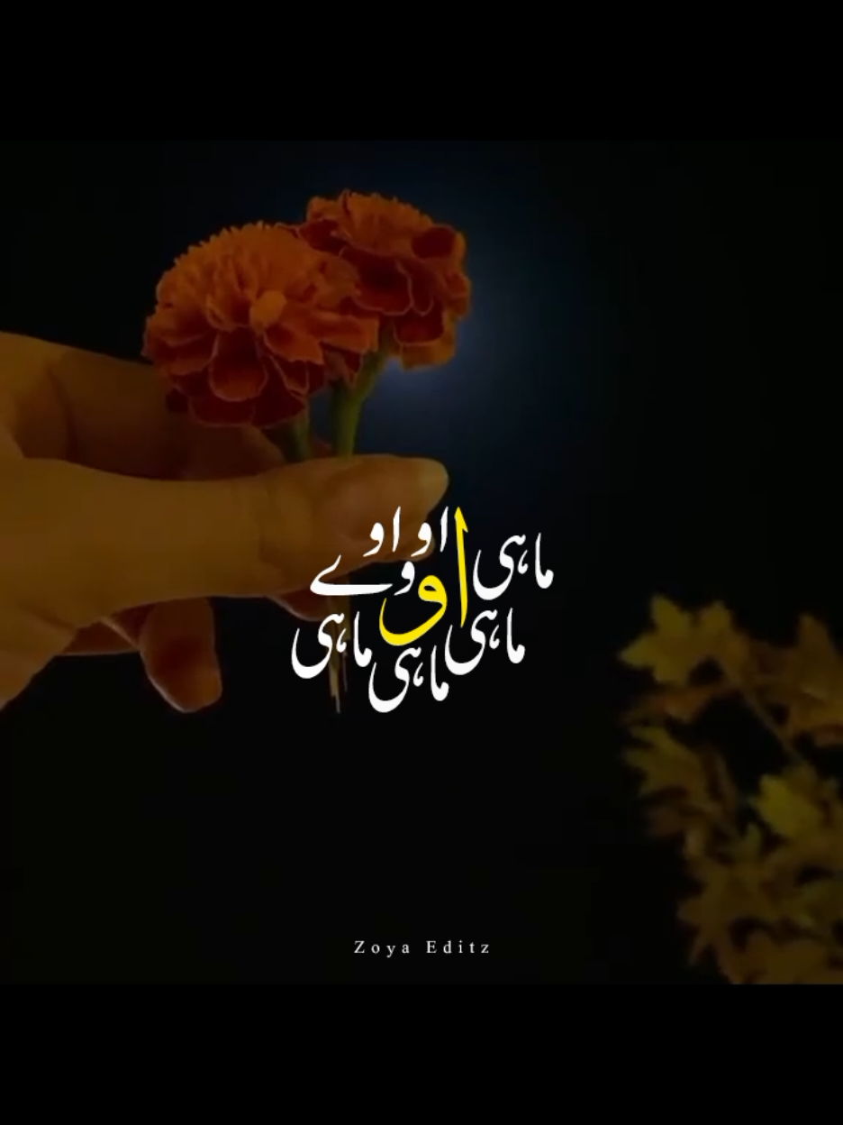 @𝐙𝐨𝐲𝐚 𝐄𝐝𝐢𝐭𝐳 💫