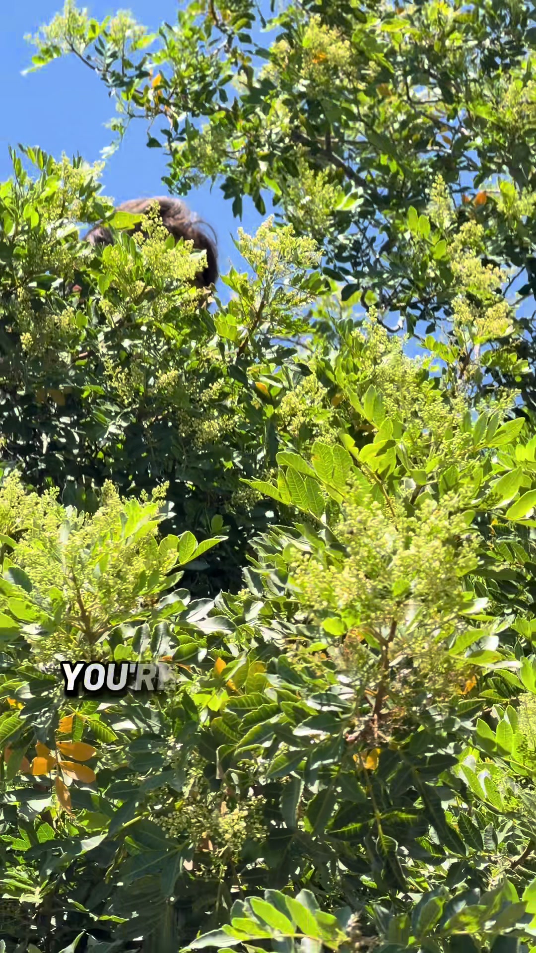 @thatkidcardo69