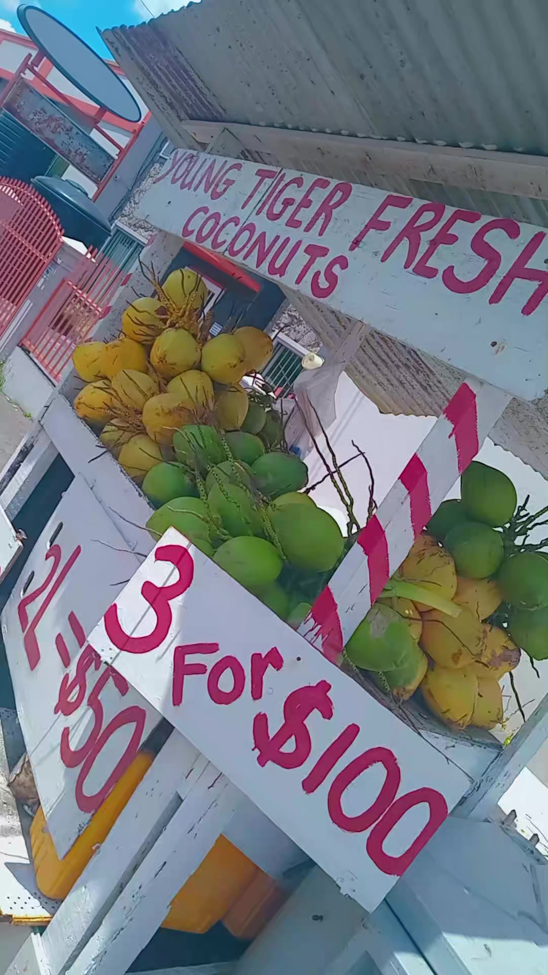 @Young Tiger Cold Coconuts🥥🌴