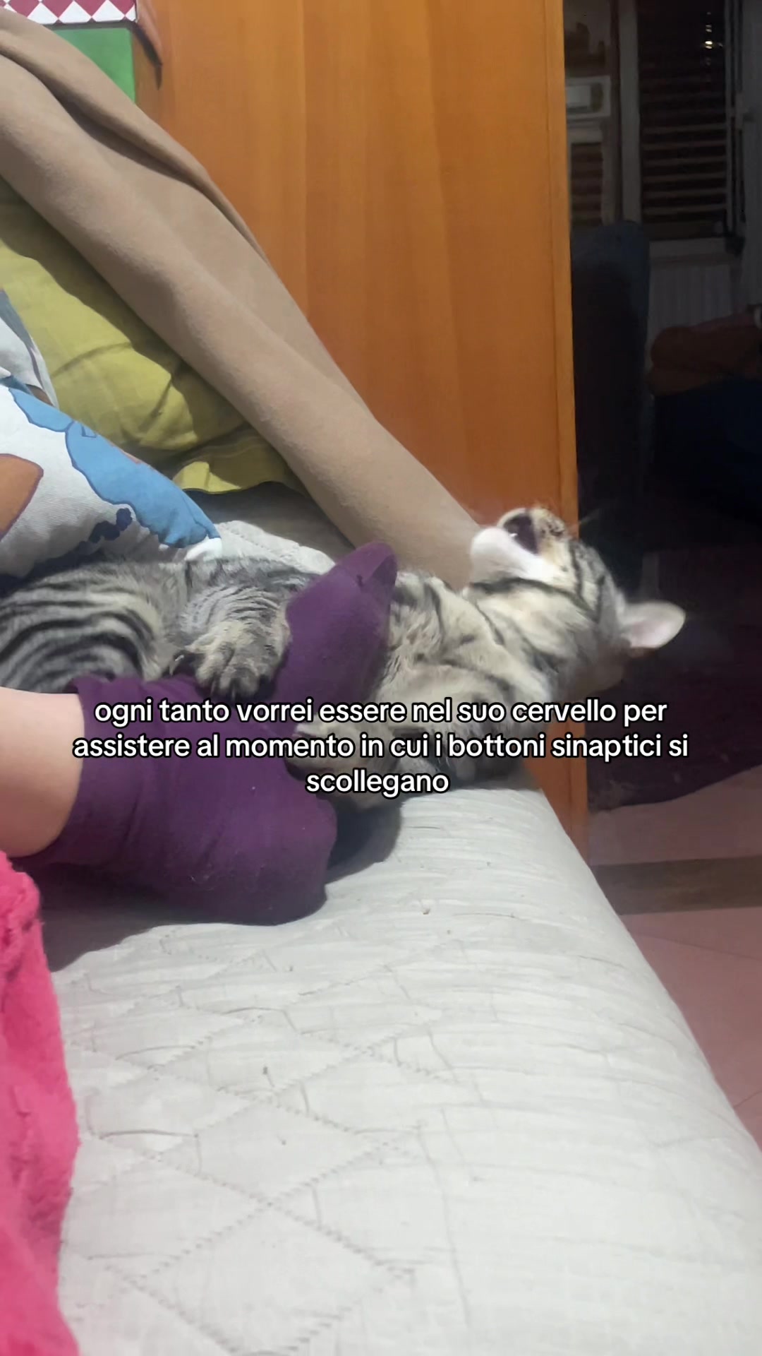 @Giorgia Saraceno
