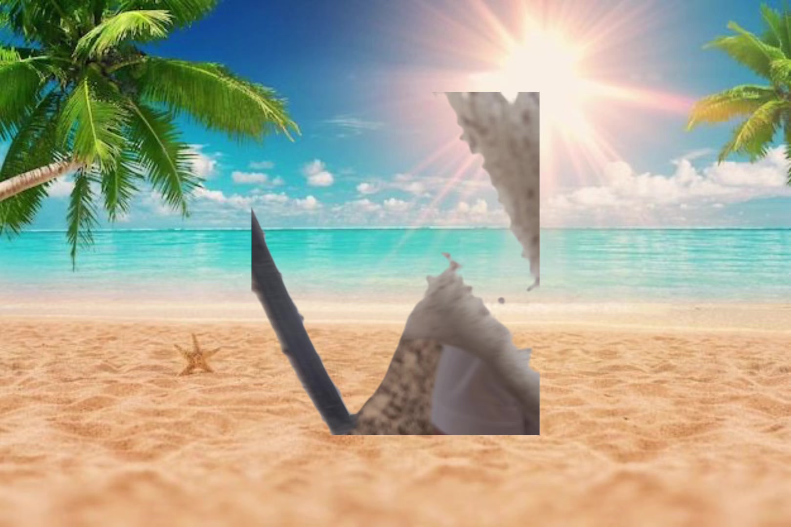 @𝐦𝐨𝐫𝐤𝐨𝐯𝐧𝐢𝐜𝐚🥕 ྀིྀ