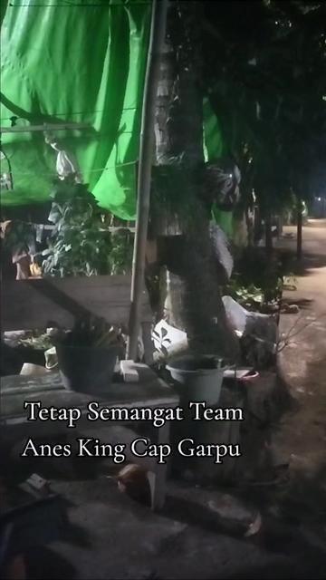 @Anes_King_cap_garpu
