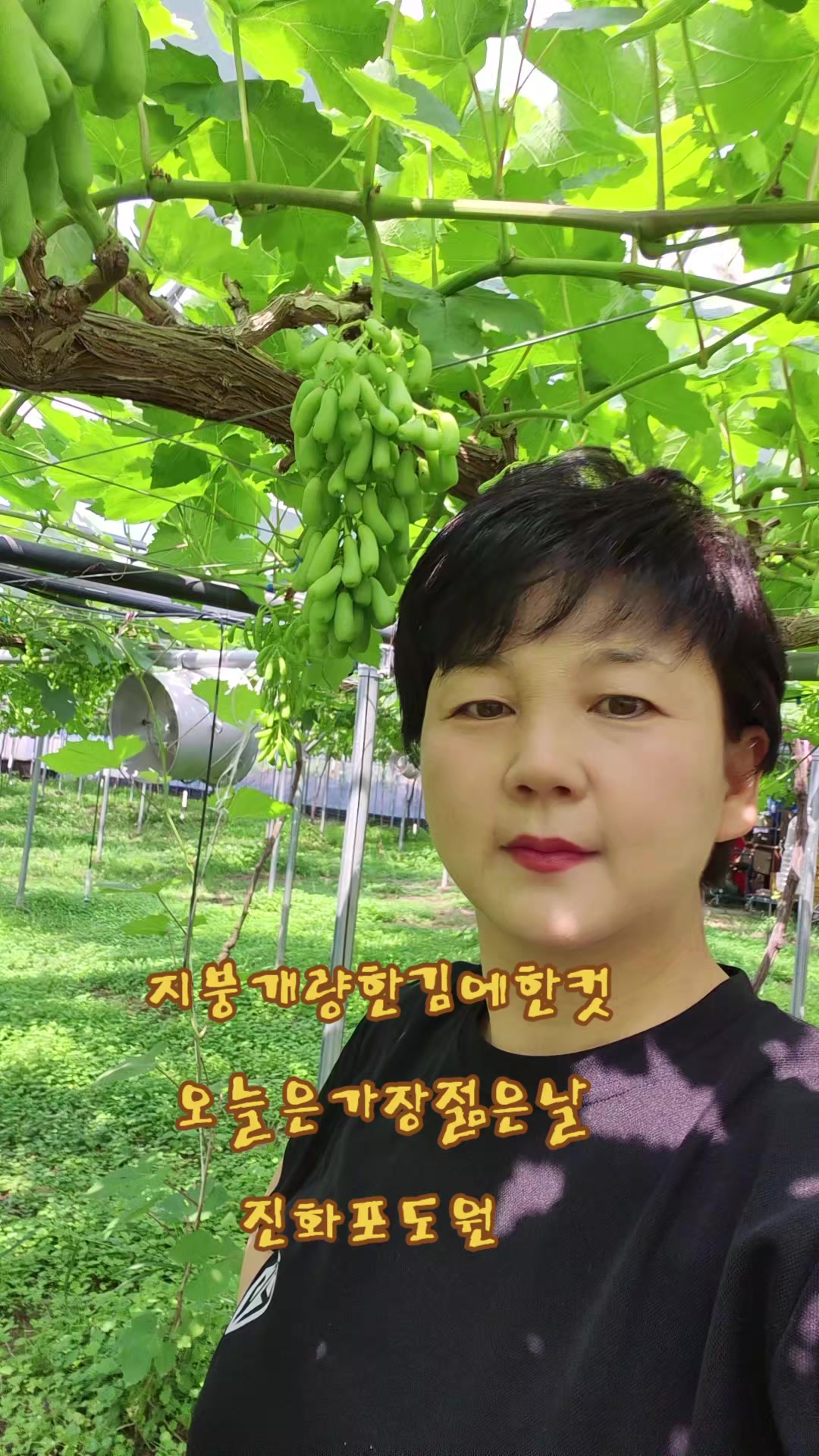 @진화포도원