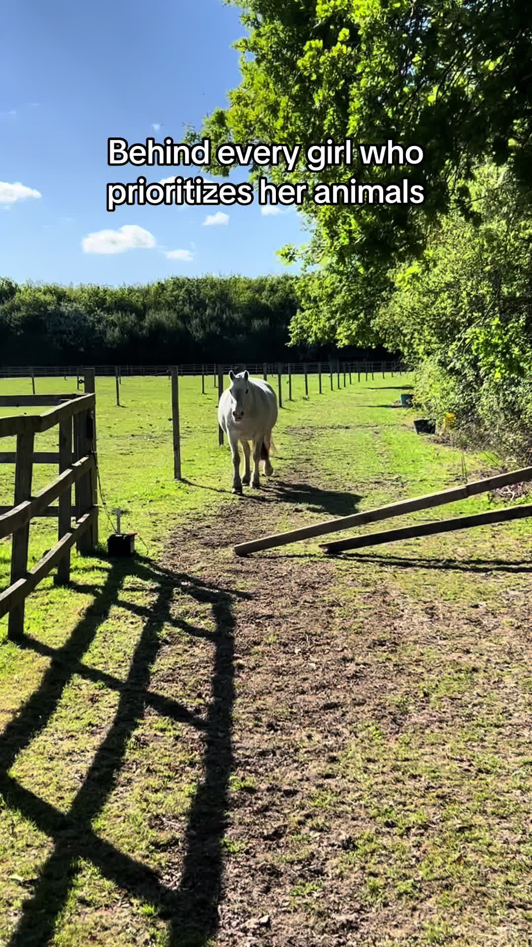 @Becky O&rsquo;Neill Equestrian