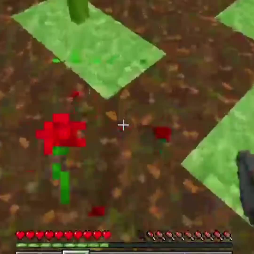 @TTV // zoozah_