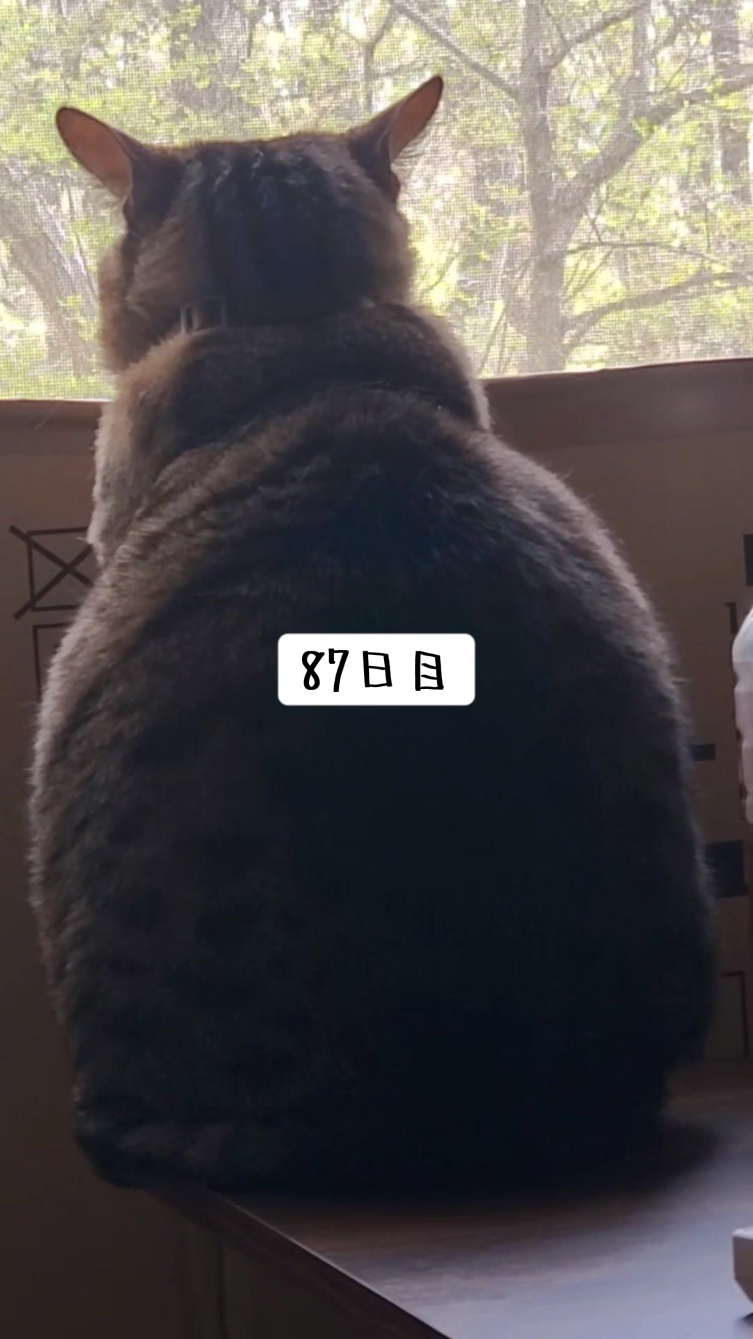 @😻kazuki😻