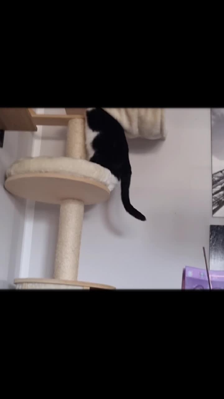 @Real_Talk