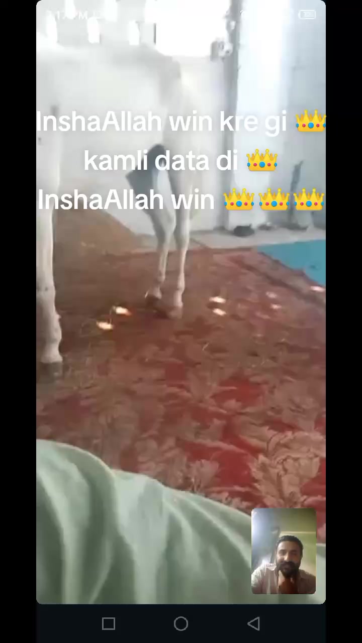 @Lara Gujjar