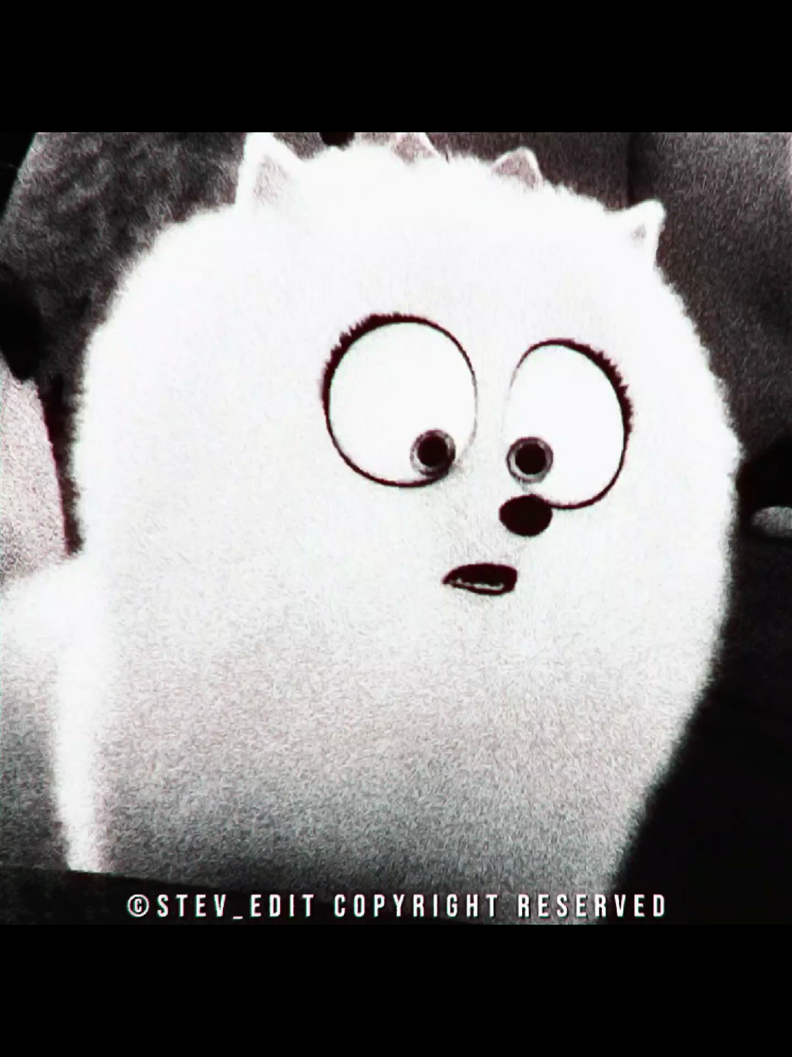 @𝑺𝑻𝑬𝑽_𝑬𝑫𝑰𝑻